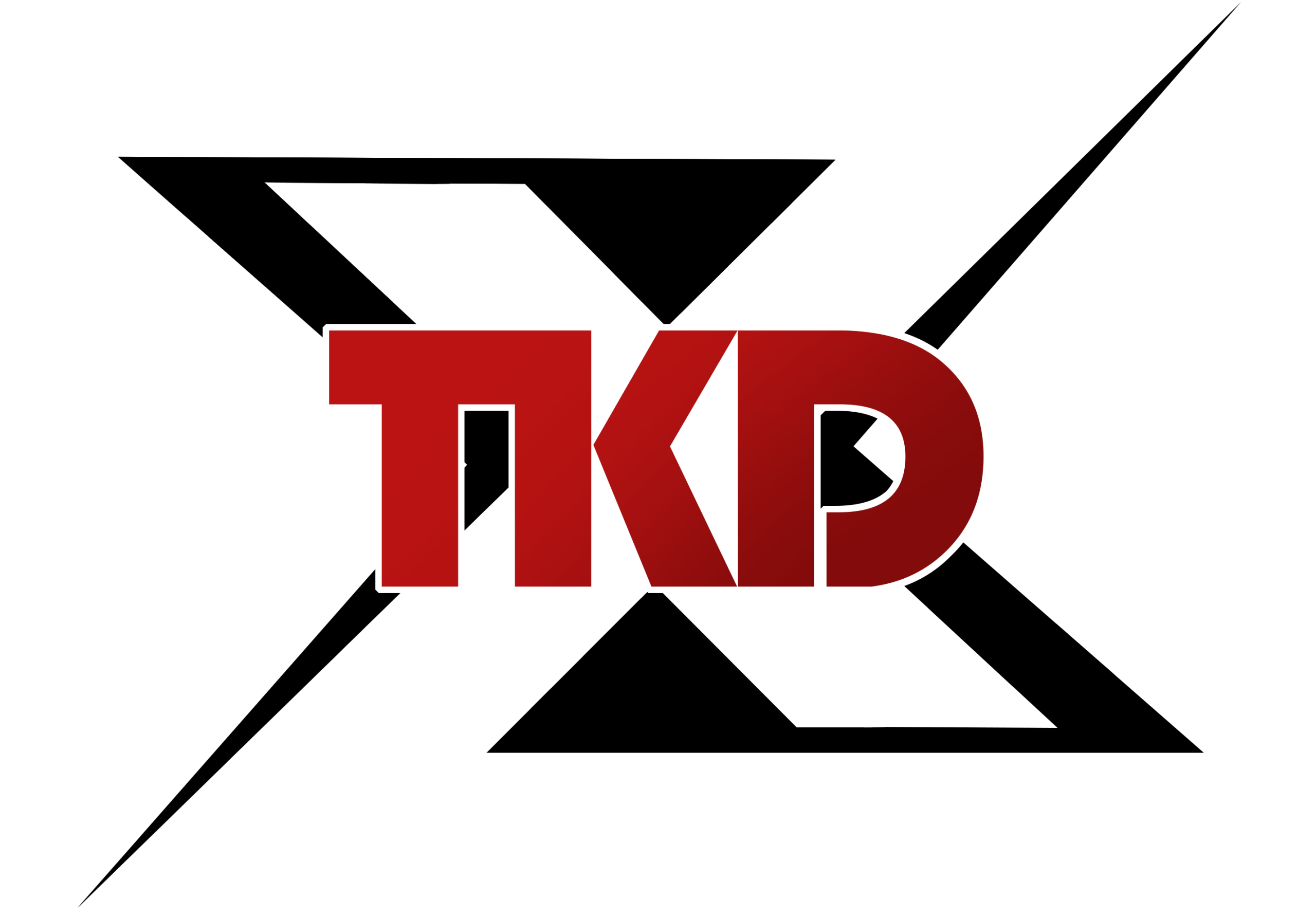 Taekwondo X